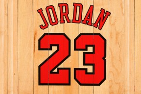 开云·体育官网APP下载-失误致命：上海队20次失误，错失反超良机！，上海队队员