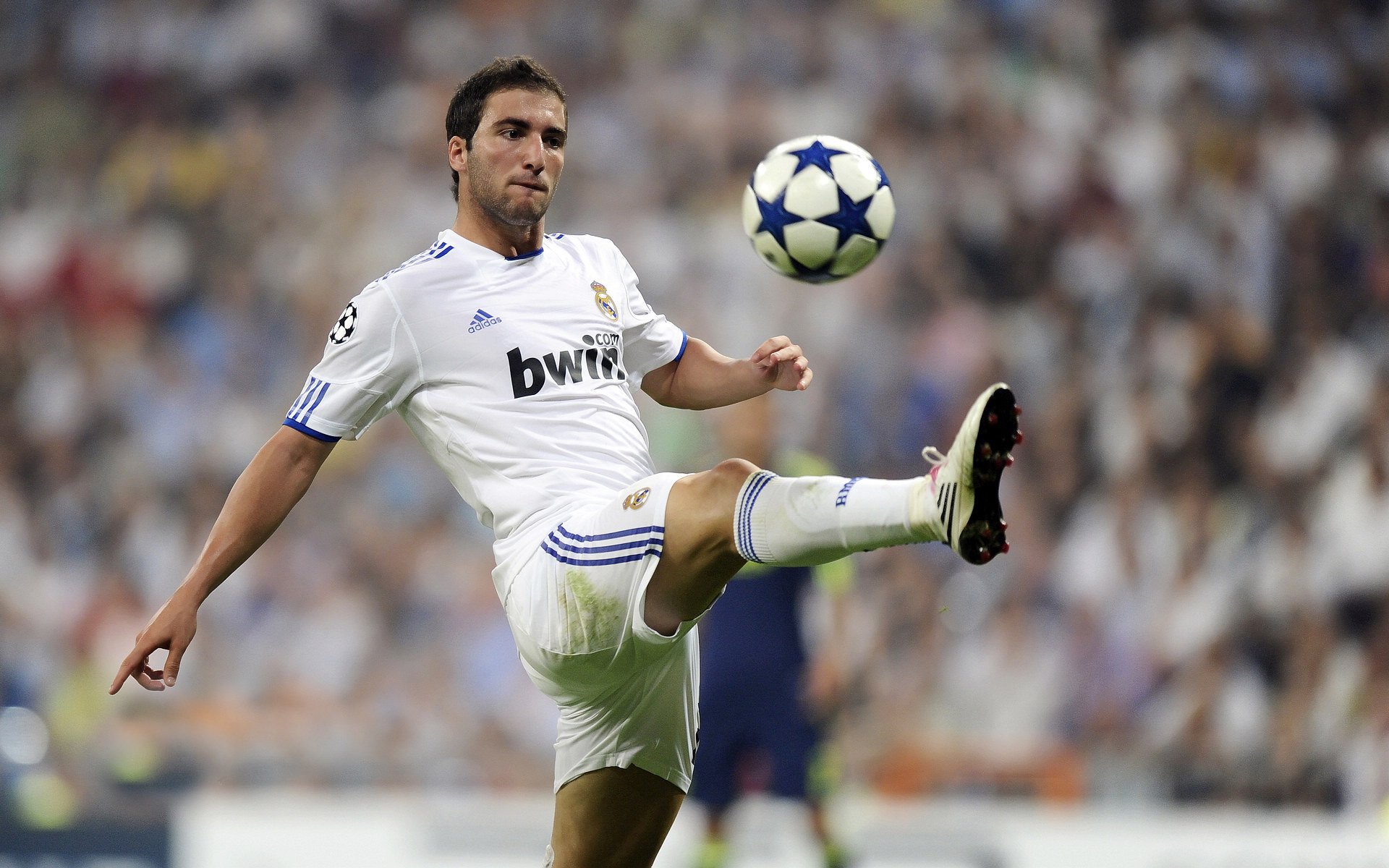 字母哥表现出色带领雄鹿夺冠，字母哥表现出色带领雄鹿夺冠了吗